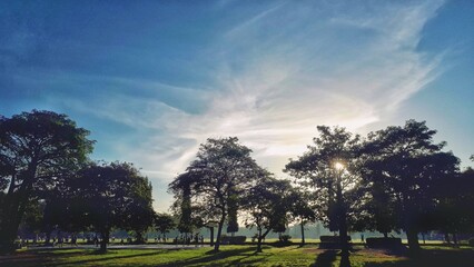 the beauty of greenery and blue sky