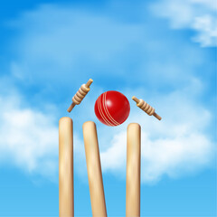 Cricket stumps, Bowled out background