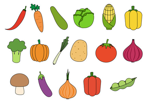 Illustration of a set of vegetables in a hand-drawn style. vector illustration isolated on white background.