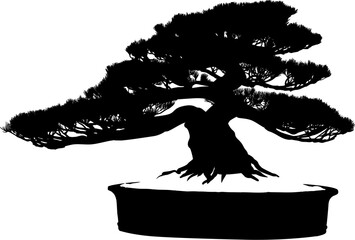 bonsai, arbol, vector, naturaleza, paisajismo