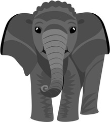 elephant isolated on white background