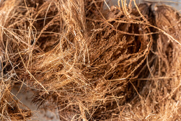 coconut fiber. Background from coconut coir. Texture 
