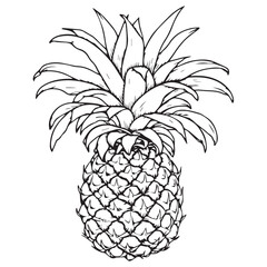 Sketch of pineapple lineart coloring page vector illustration