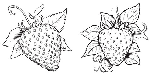A set of silhouette line art strawberry coloring page vector illustration