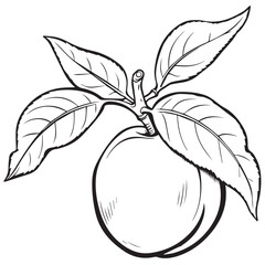 Hand-drawn vector illustration of an apple line art graphic design