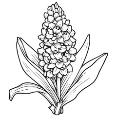 Hand-drawn sketch of a flower coloring book page vector illustration
