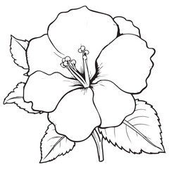 Sketch of a Hibiscus flower line art vector illustration