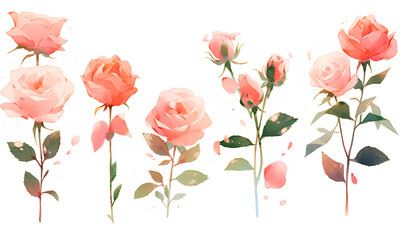 watercolor background with rose_Generative AI