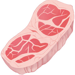 Meat Watercolor hand drawing  PNG paper texture