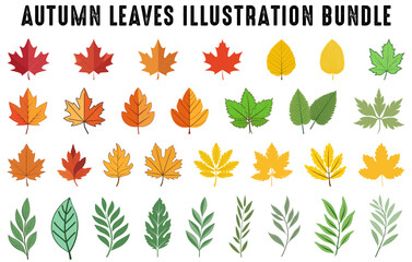 Set of colorful autumn leaves vector, Autumn forest leaf illustration bundle, Fall leaves collection