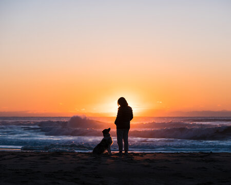 Silhouette of a person and their dog walking on the beach at sunset.