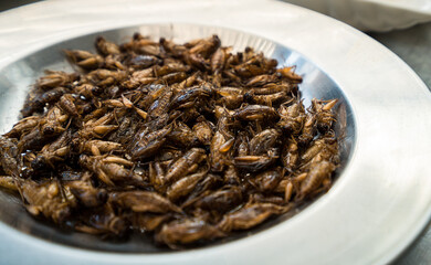 Fried insects. Exotic Asian food, insect-based food. Superfood concept.