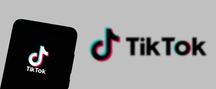 TikTok logo on smartphone screen - Horizontal banner web