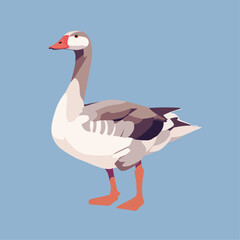 Goose. A bird with a long neck. Vector illustration in a flat style.