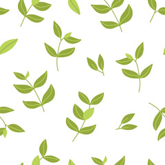 Green tea pattern background. Green tea on white background. Matcha vector.