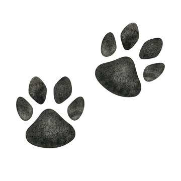 Dog or cat paw. Hand drawn watercolor illustration. Isolated. Cute animal footprints for decoration, fabric, design, veterinary clinic, pet store, craft projects, logo, scrapbooking, pet tags.