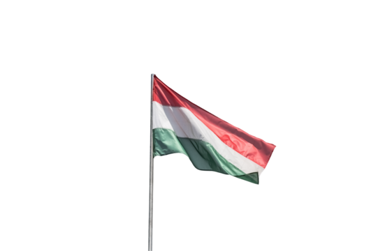Hungarian flag waving