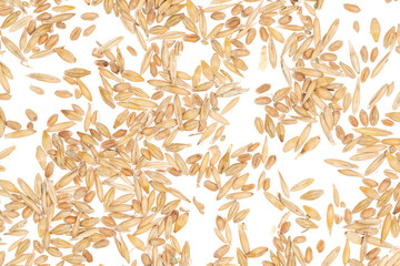 Fototapeta na wymiar Cereal seeds isolated on white background. pile oats, wheat, barley close-up