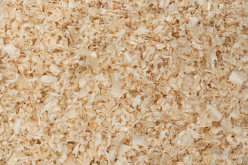 Dry chips sawdust for rodents. wood shavings  texture background. filings close up