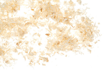 Dry chips sawdust for rodents. wood shavings isolated on white background. filings close up