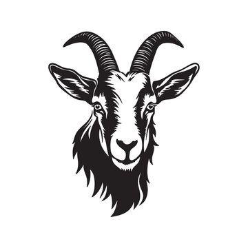 Goat head logo detailed silhouette vector