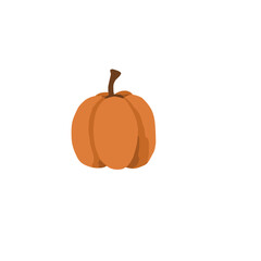 pumpkin on a white background