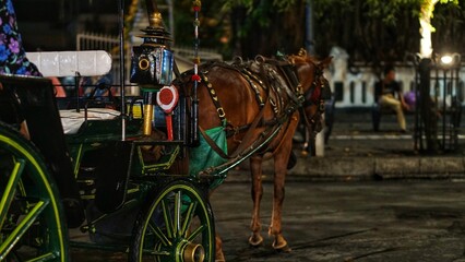 Beautiful chestnut horse amidst the hustle and bustle of the city at night. Yogyakarta, Indonesia