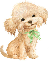 Maltipu puppy watercolour, cute dog watercolour