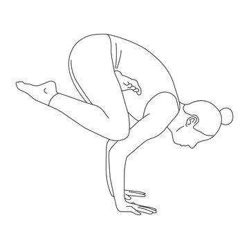 recommend clip art: Line art of woman doing yoga in Half Lotus Crow pose vector.