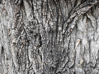 texture