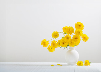 yellow flowers in vase on white background