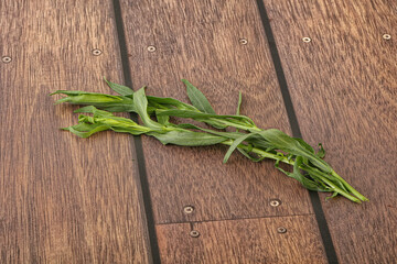 Green tarragon herb spice for cooking