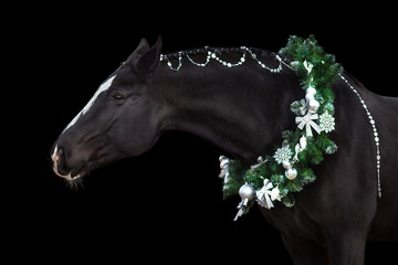 Horse in christmas decoration