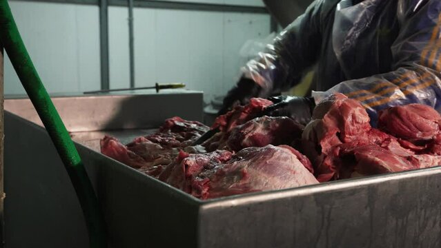 Preparation of meat for chopping into pieces. Fresh Pork Manufacturing Plant.