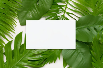 Blank card and tropical leaves on white background with copy space