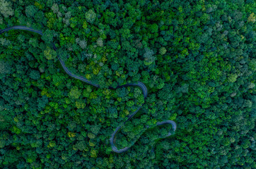 Aerial top view road in forest with car motion blur. Winding road through the forest. Car drive on the road between green forest. Ecosystem ecology healthy environment road trip.