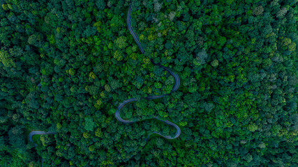 Obraz premium Aerial top view road in forest with car motion blur. Winding road through the forest. Car drive on the road between green forest. Ecosystem ecology healthy environment road trip.