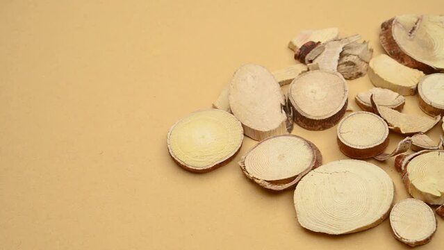 angle pan herb WuZhiMaoTao or Fici Hirtae Radix or extract of ficus hispida at horizontal composition