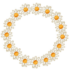 frame of daisies, watercolor daisy, daisy wreath, daisy