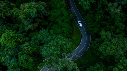Aerial top view road in forest with car motion blur. Winding road through the forest. Car drive on the road between green forest. Ecosystem ecology healthy environment road trip.