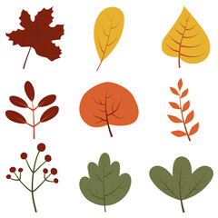 autumn, bundle, fall, leaf, nature, season, seasonal, leaves, design, illustration, foliage, set, collection, isolated, element, vector, background, decoration, graphic, colorful, natural,