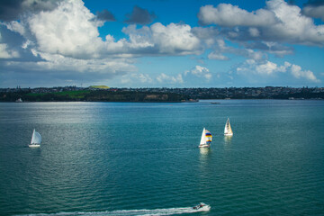 Sailing boats racing over calm waters of Auckland Harbour on a beautiful winter day. North Island, New Zealand - obrazy, fototapety, plakaty