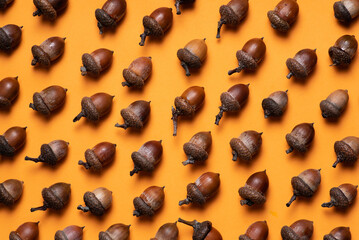 Many brown acorns with caps on over orange color