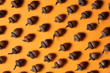 Many brown acorns with caps on over orange color