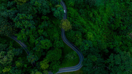 Aerial top view road in forest with car motion blur. Winding road through the forest. Car drive on the road between green forest. Ecosystem ecology healthy environment road trip.