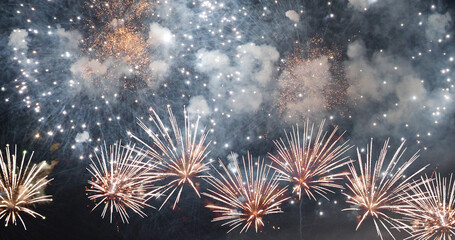 blue Firework celebrate anniversary happy new year 2024, 4th of july holiday festival. blue...