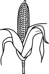 Corn in Sketch Style - Vector Farming Illustration