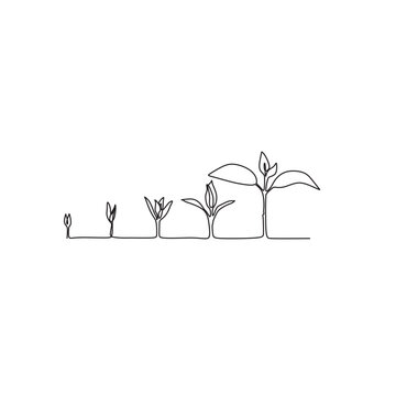 One line drawing. Plant growth progress.