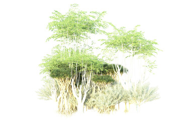 African forest isolated on transparent background. 3d rendering - illustration