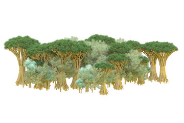 African forest isolated on transparent background. 3d rendering - illustration